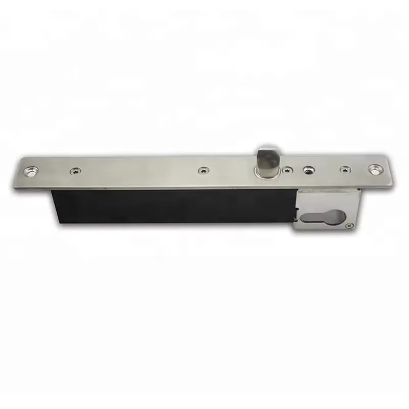 12V 전기 래치 도어 잠금장치, 첨단 기술 안전 지연 - Home Security Lock System 리뷰 및 가격