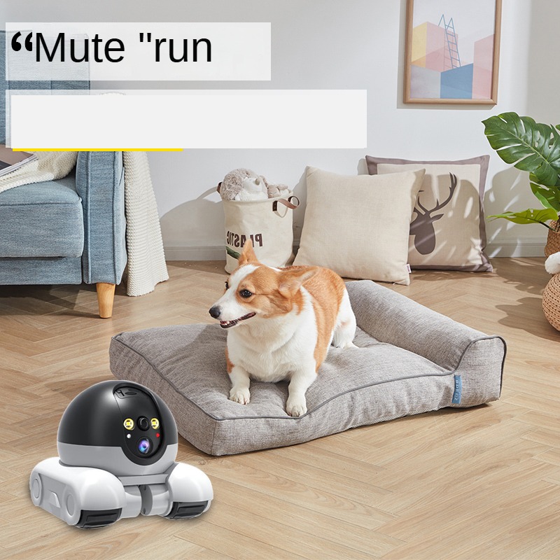 스마트 듀얼 렌즈 IP 돔 로봇 카메라 풀컬러 AI 휴 - Home Security Robot Dog 리뷰 및 가격