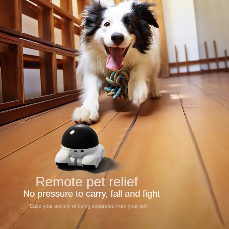 스마트 듀얼 렌즈 IP 돔 로봇 카메라 풀컬러 AI 휴 - Home Security Robot Dog 리뷰 및 가격