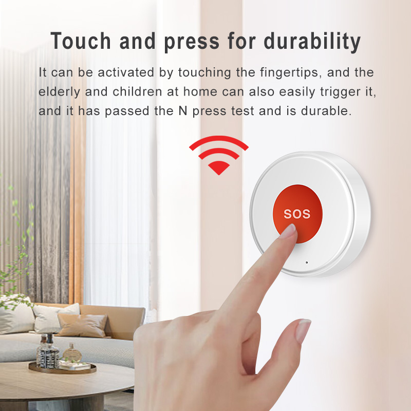 자전거 헬멧 및 선글라스 벽걸이 랙, 러스틱한 너도밤나 - Home Security Options 리뷰 및 가격
